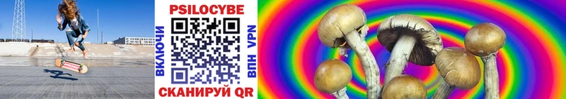 Галлюциногенные грибы прущие грибы  Инта 
